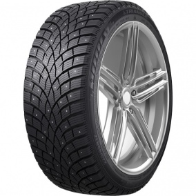 Шина Triangle IcelynX TI501 215/65 R16 102T