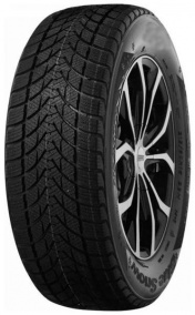 Шина Tercelo Bluesnow 205/55R16
